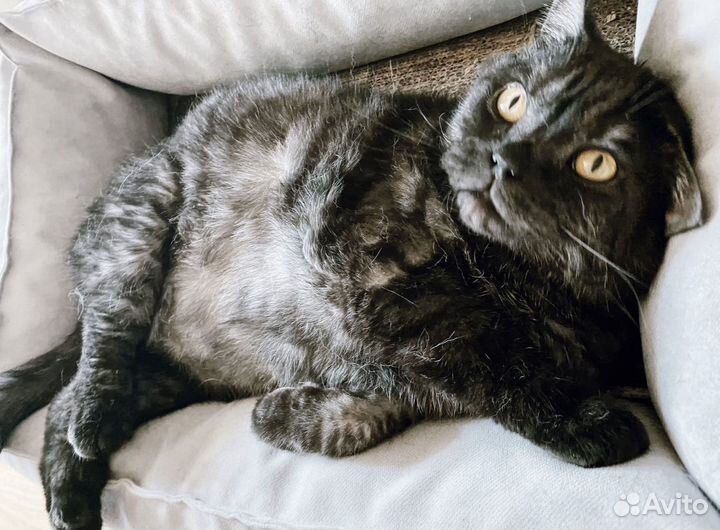 Лежанка для собак и кошек