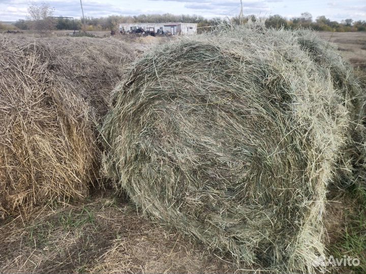 Сено и солома в рулонах