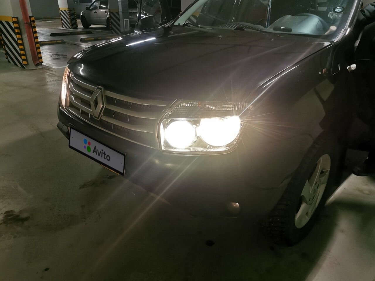 Renault Duster: фото владельца