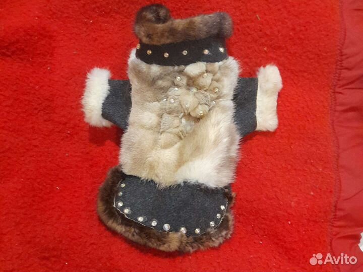Одежда для собак и кошек