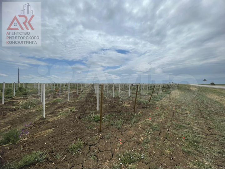 Участок 8 га (СНТ, ДНП)