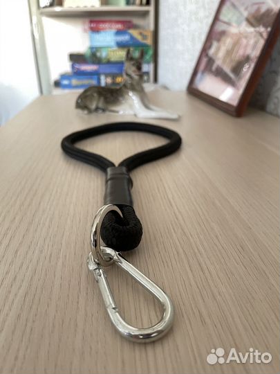 Поводок-водилка