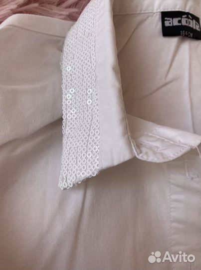 Блузка Акула