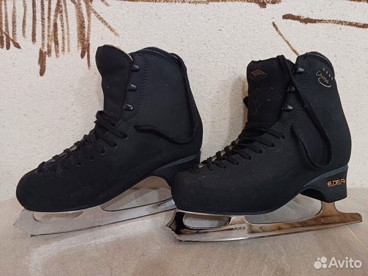 Фигурные коньки edea chorus 245