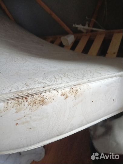 Уничтожения клопов и блох, тараканов