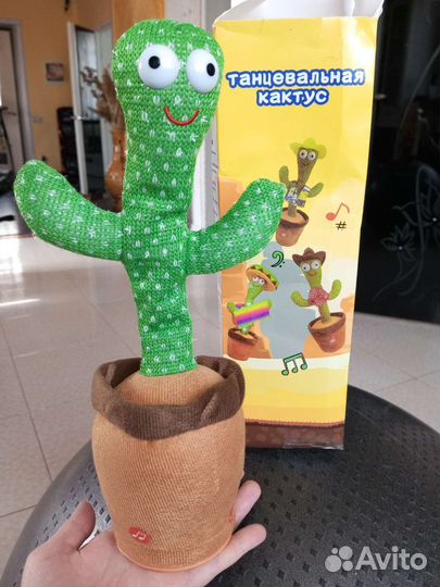 Танцующий кактус новый