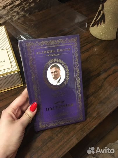 Коллекция книг великие поэты 100 шт все в упаковке