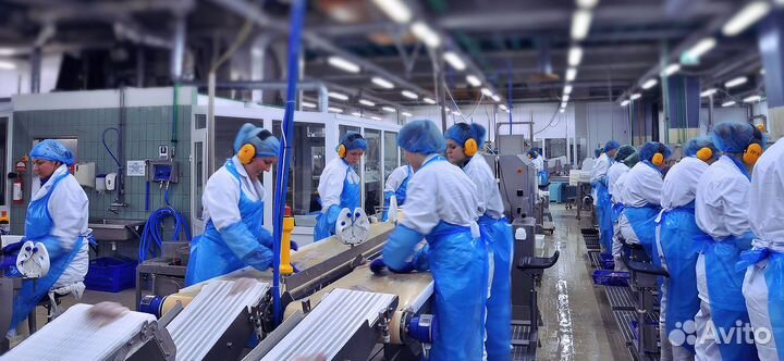 Рыбообработчик