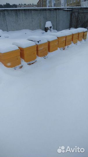 Мёд. С доставкой