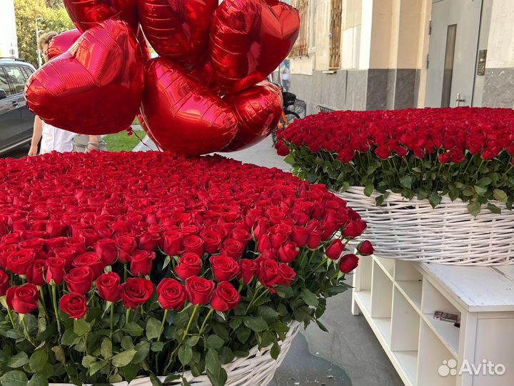 Цветы Корзина из 501 розы