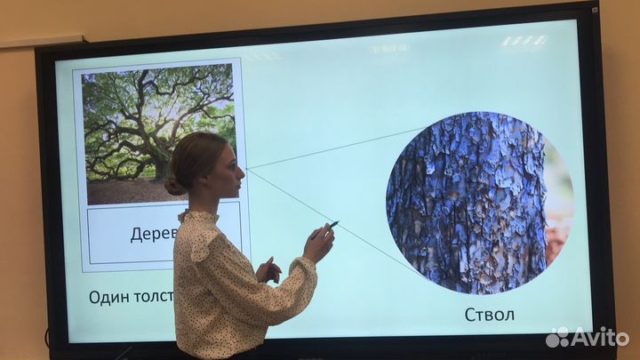Репетитор начальных классов, подготовка к школе