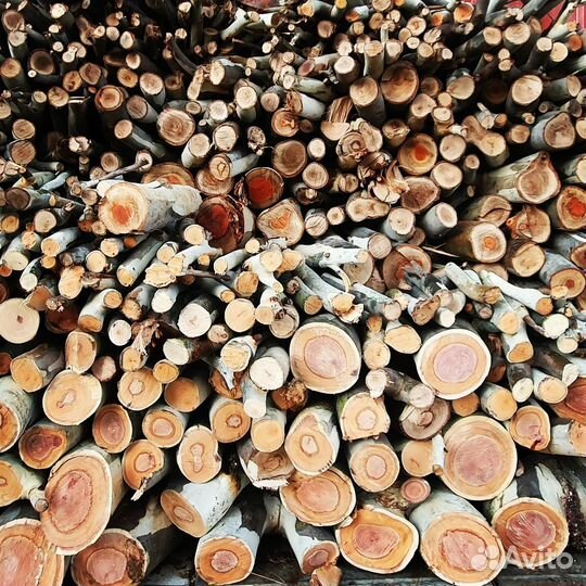 Дрова колотые