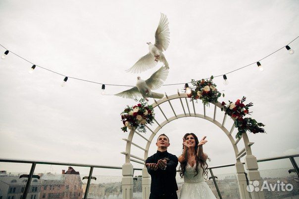 Голуби на свадьбу