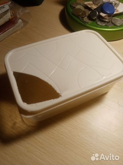 Комплект для гекона эублефара