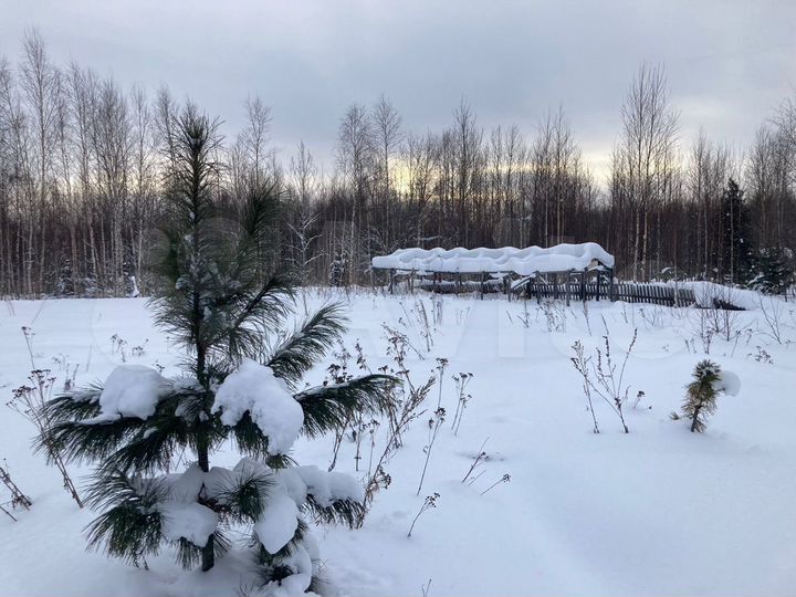 Участок 12 сот. (СНТ, ДНП)