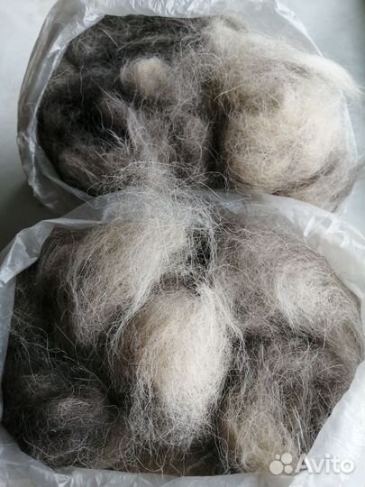 Собачья шерсть пух