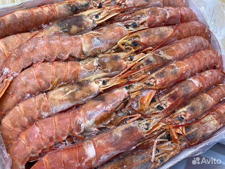 Лангустины L1 крупный. Оптовые цены