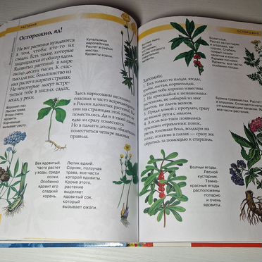 Моя первая энциклопедия Гальперштейн