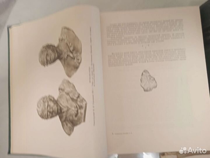 Всемирная история