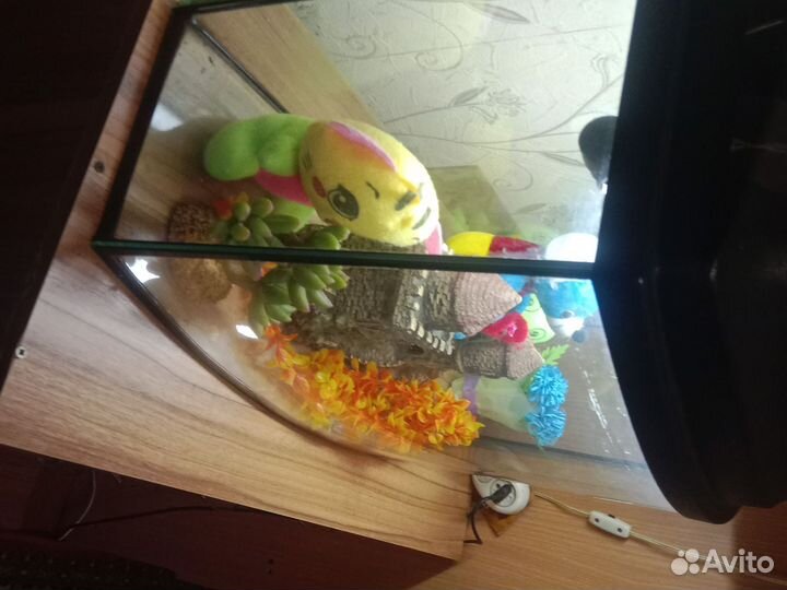 Аквариум для рыбок