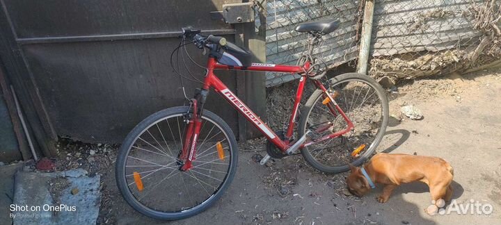 Велосипед Merida crossway 40