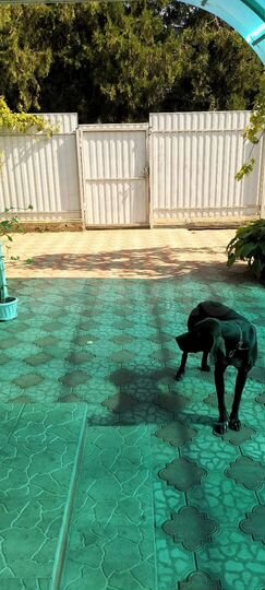 Дом 46 м² на участке 5 сот.