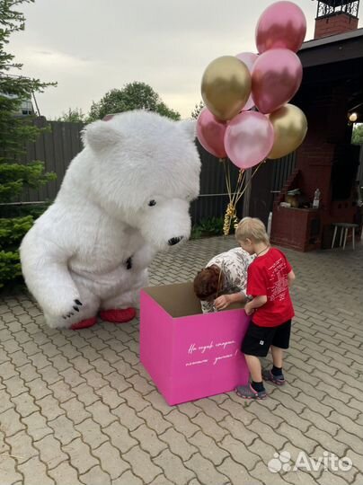 Поздравление Белый Медведь Умка