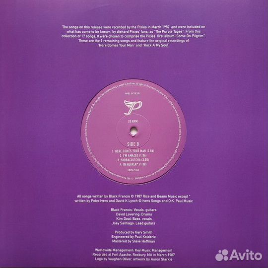 Виниловая пластинка pixies - demos - RSD 2023 rele