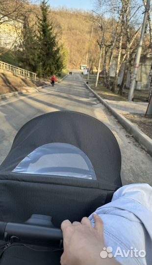 Коляска carello bravo plus 2023