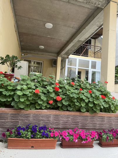 Комната 12 м², 1/2 эт.