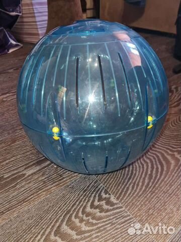 Шар для морских свинок