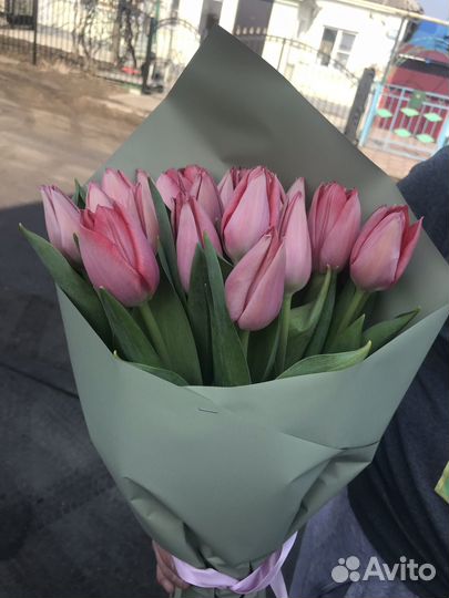 Тюльпаны к 8 марта