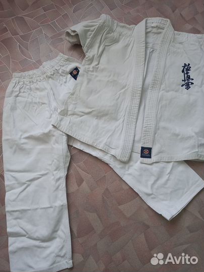 Доги киокушинкай