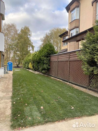 Рулонный газон 