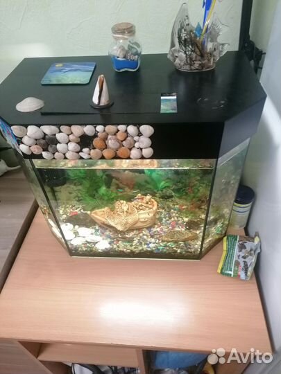 Аквариум с рыбками
