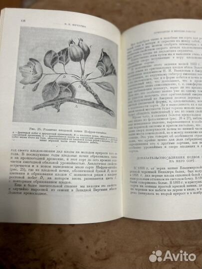 Мичурин Избранные произведения 1955 год