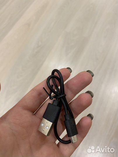 Светящийся ошейник