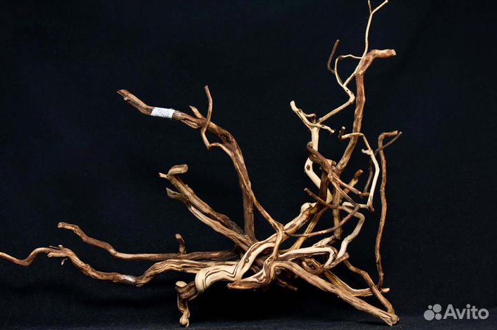 Крымские коряги