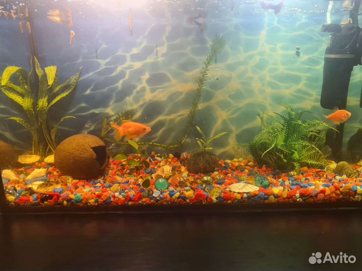 Аквариум