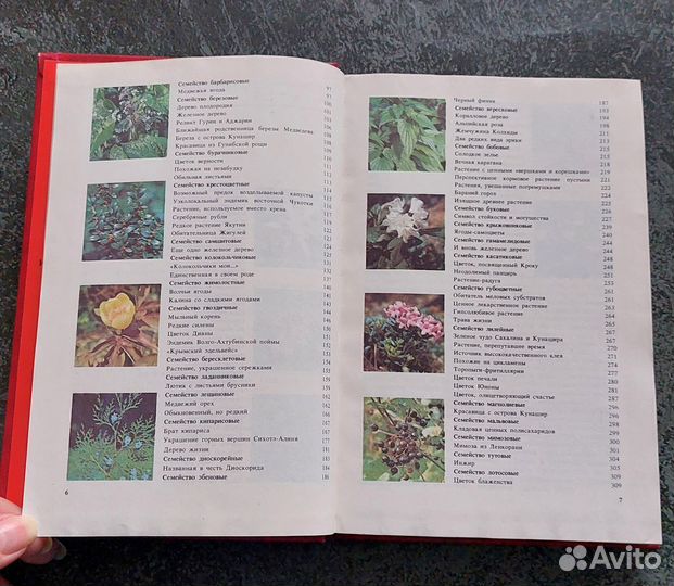 Артамонов В.И. Редкие и исчезающие растения, кн. 1