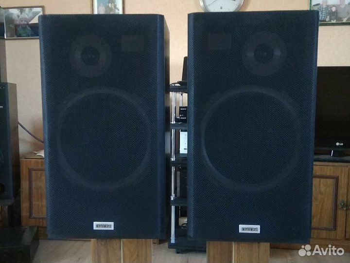 Акустика Diatone DS 25B mkll