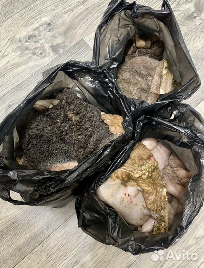 Рубец говяжий корм для собак (субпродукт)