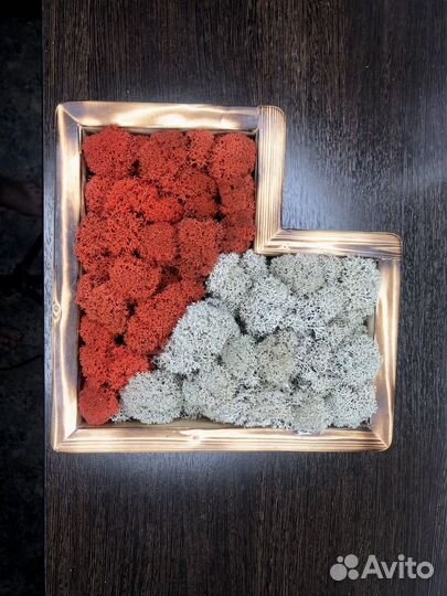 Картины из стабилизированного мха