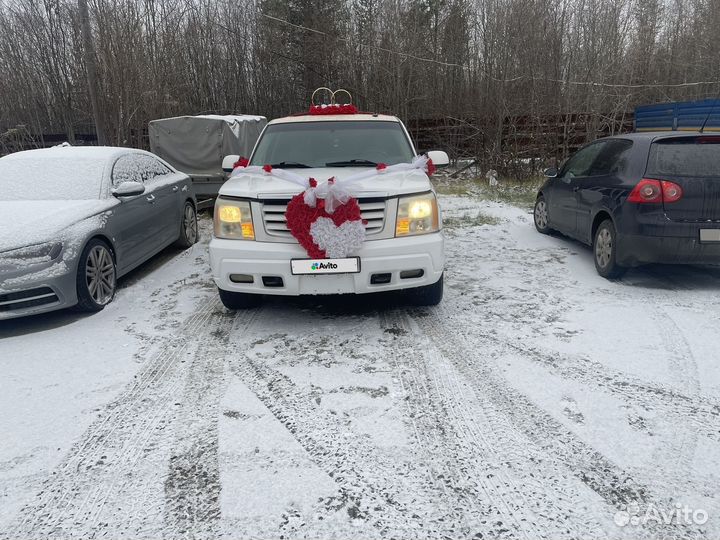 Cadillac Escalade 5.3 AT, 2002, 350 000 км