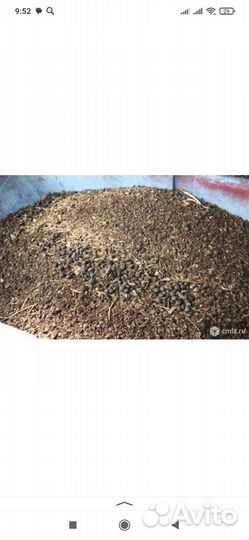 Навоз кролика