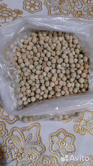 Семена гороха