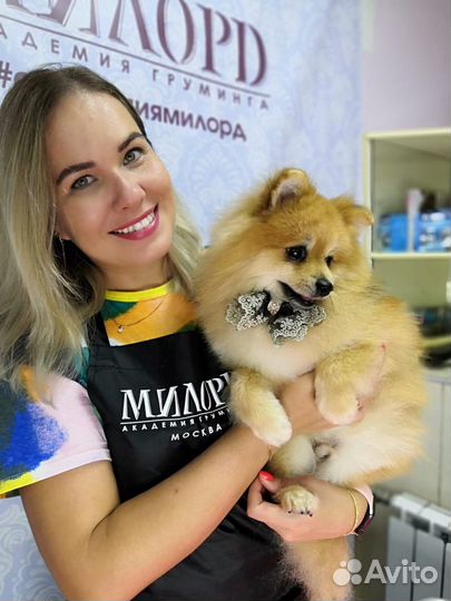 Груминг/Стрижка собак