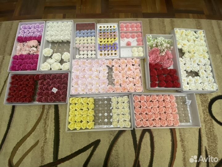 Мыльные цветы, сухоцветы