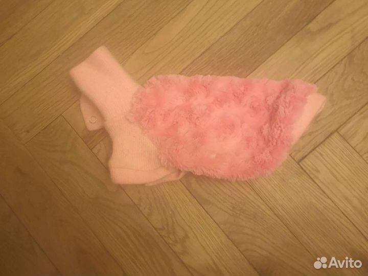 Одежда для маленькой собачки