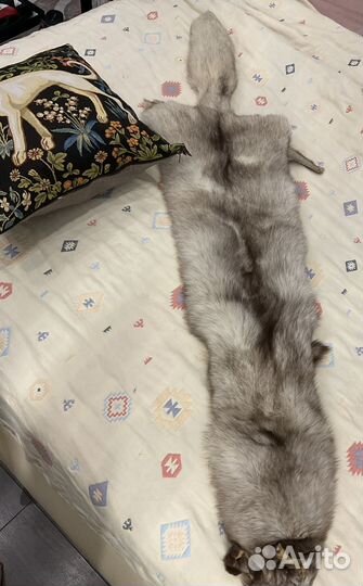Шкурка животного, песец 150 см